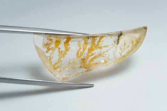 Dendrita 26,68 ct 39x17 mm