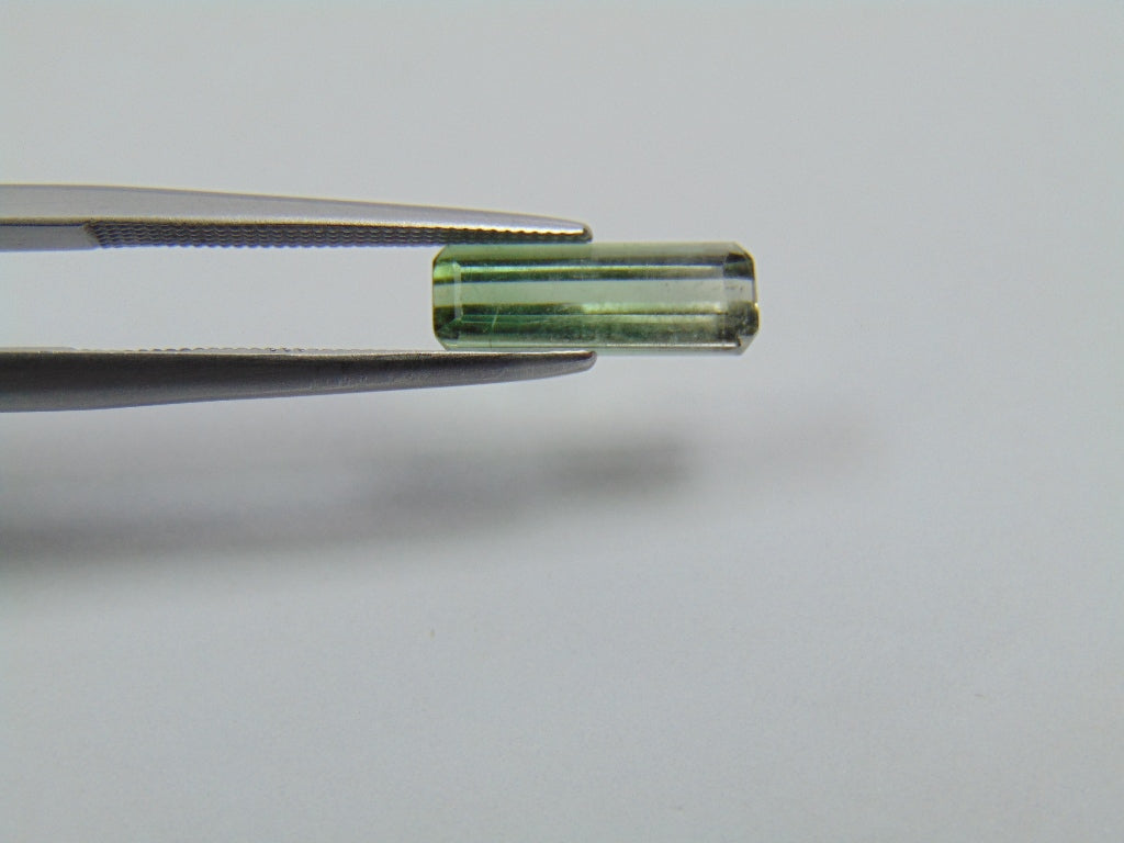 1.57ct Turmalina Bicolor 12x4mm