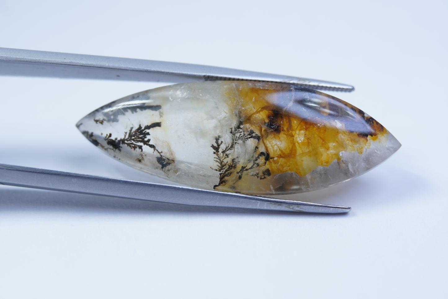 23ct Dendrita 38x13mm