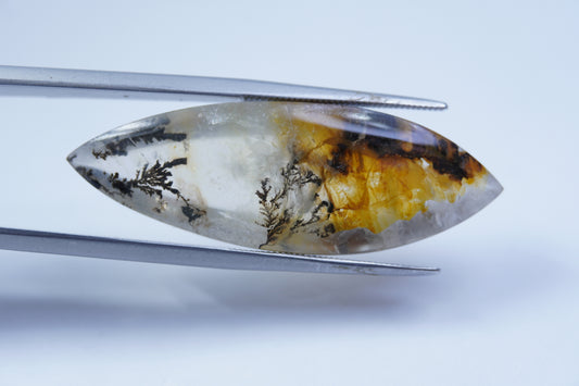 23ct Dendrita 38x13mm