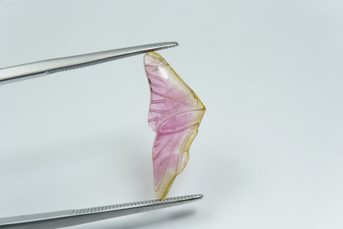 3.54ct Turmalina bicolor 21x8mm