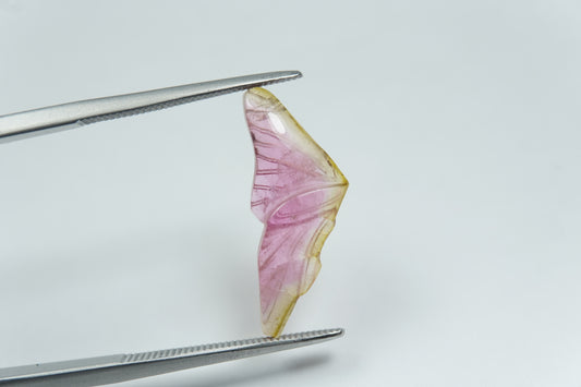 3.54ct Turmalina bicolor 21x8mm