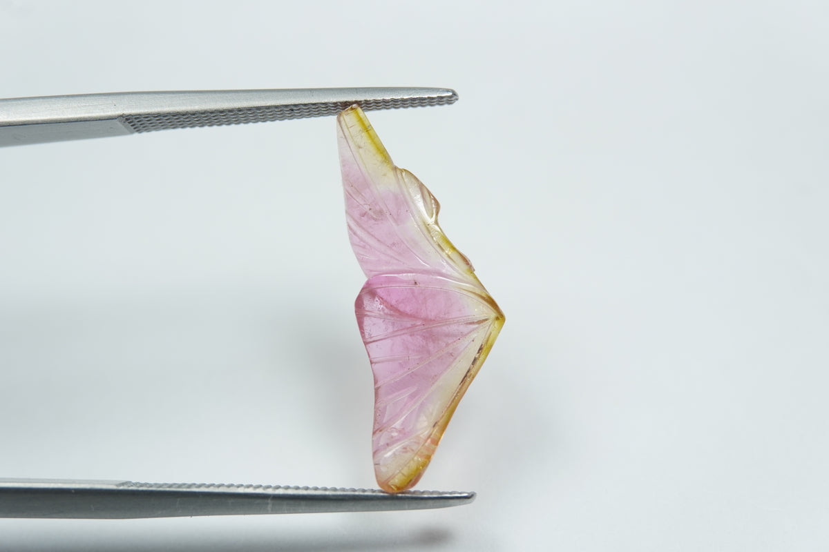 3.54ct Turmalina bicolor 21x8mm
