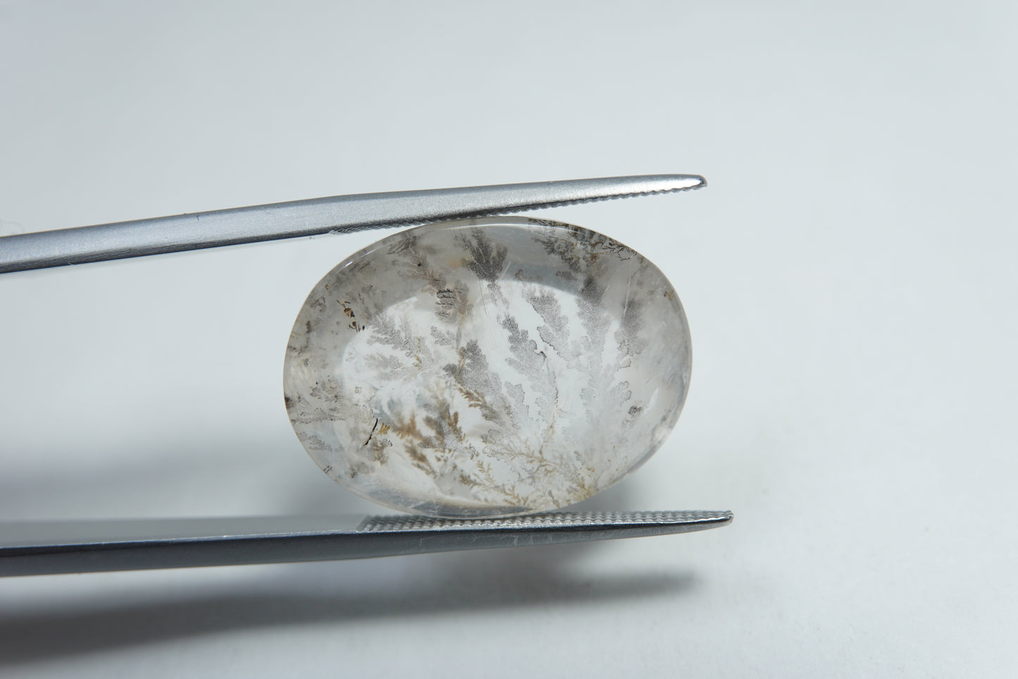 14.20ct Dendrite 20x15mm
