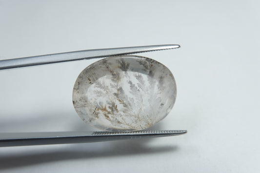 14.20ct Dendrita 20x15mm