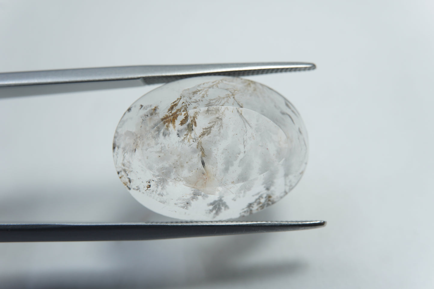 14.20ct Dendrite 20x15mm