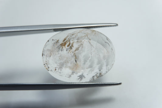 14.20ct Dendrita 20x15mm