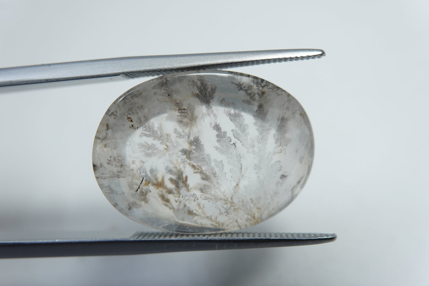 14.20ct Dendrite 20x15mm