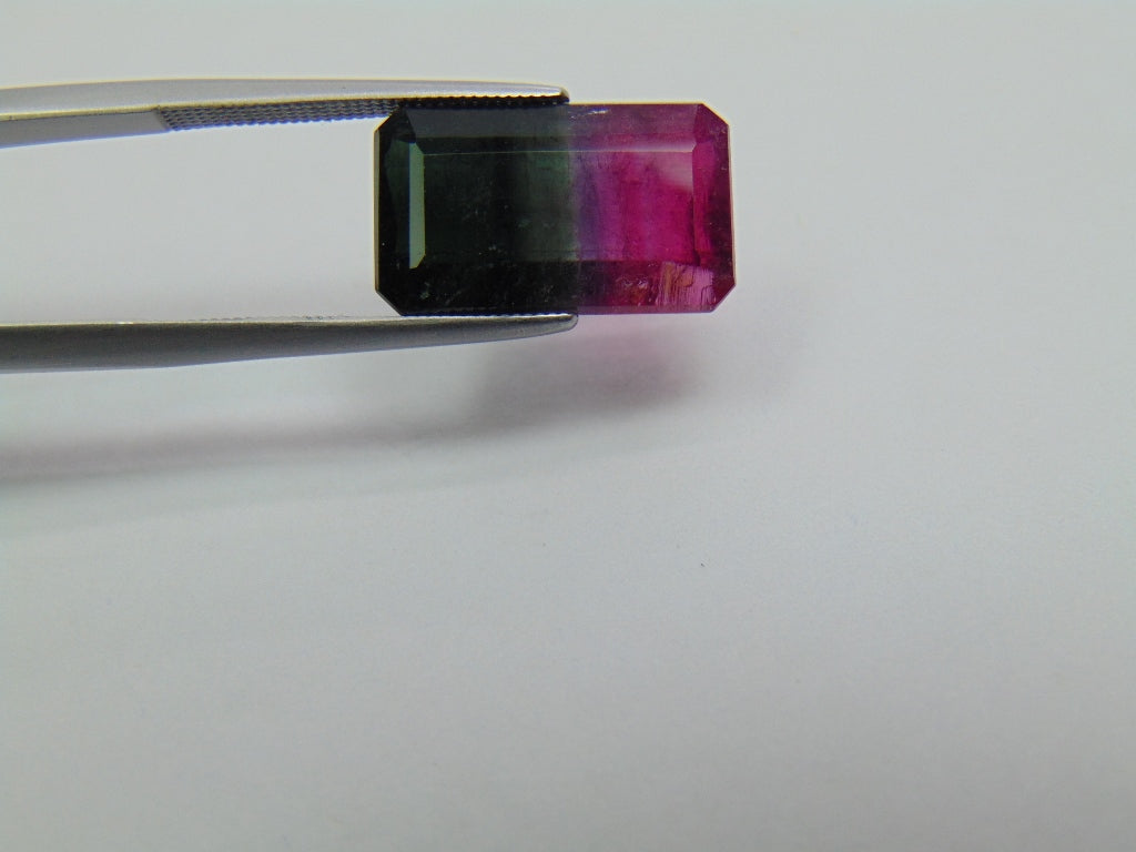 8.14ct Turmalina Bicolor 16x9mm