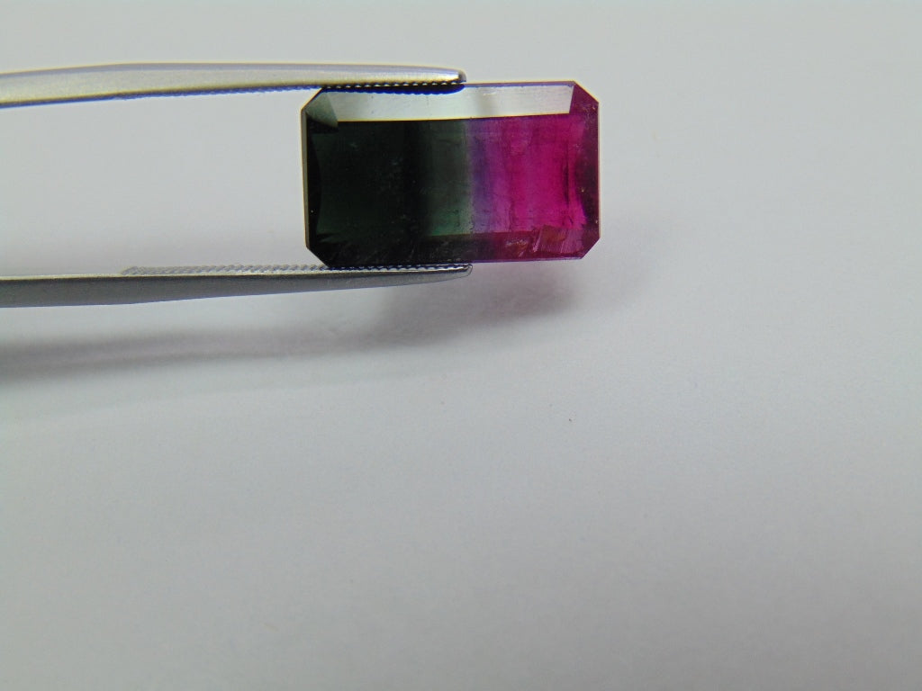 8.14ct Turmalina Bicolor 16x9mm