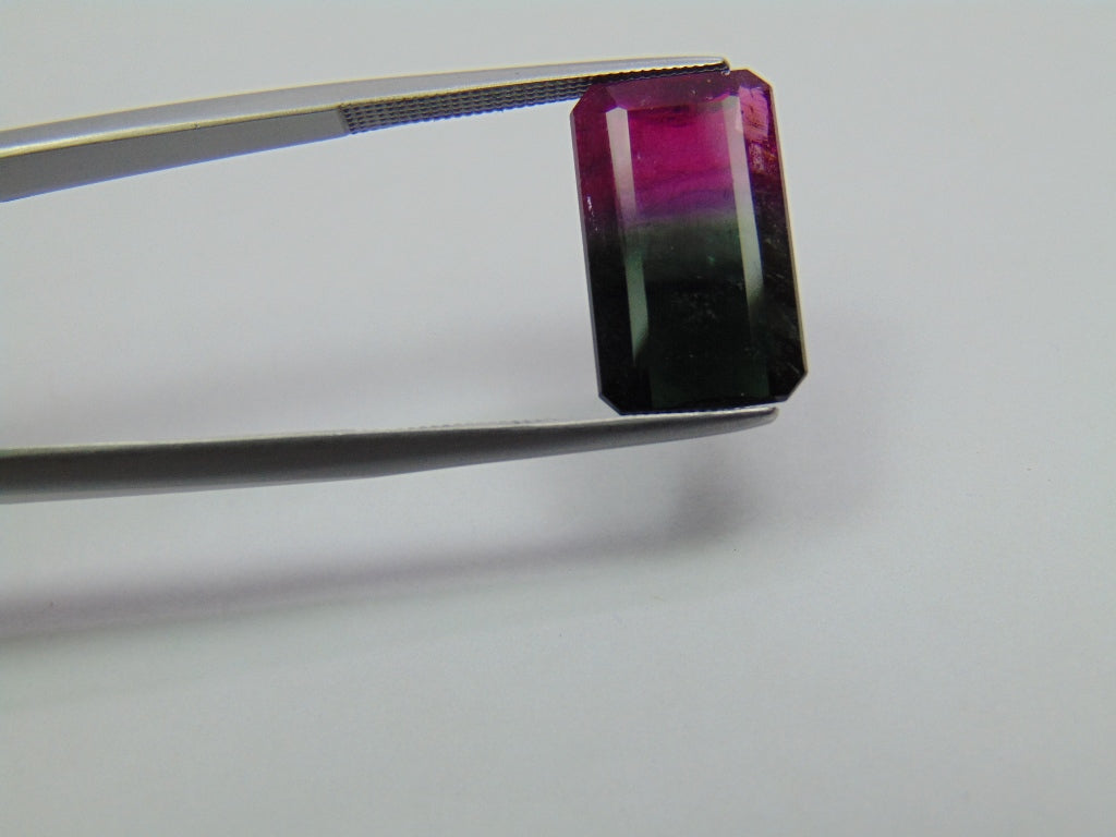 8.14ct Turmalina Bicolor 16x9mm