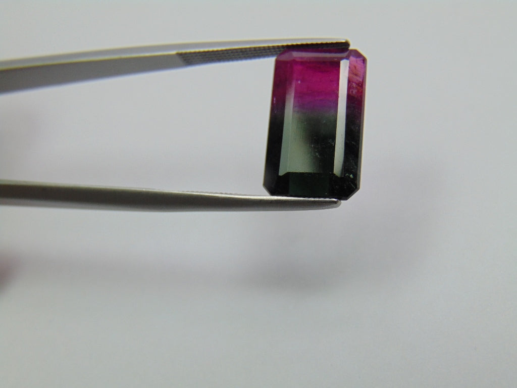 8.14ct Turmalina Bicolor 16x9mm