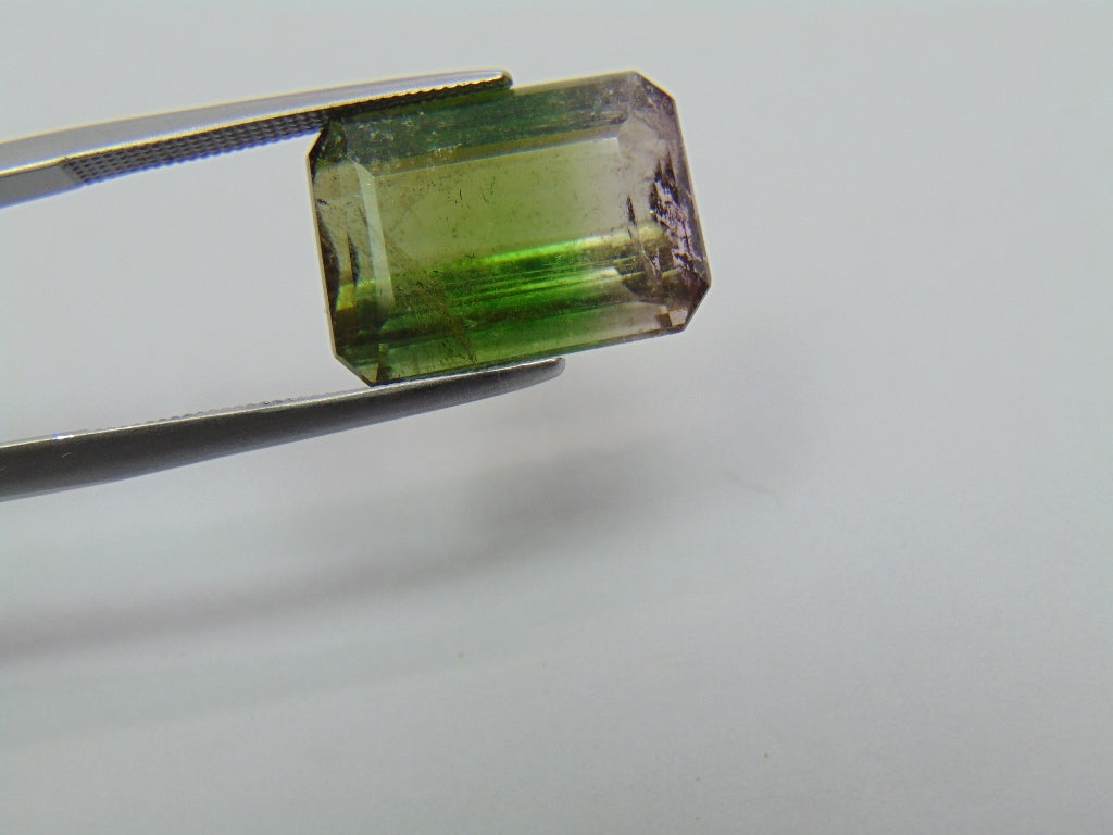 Turmalina Bicolor 10,65ct 15x11mm