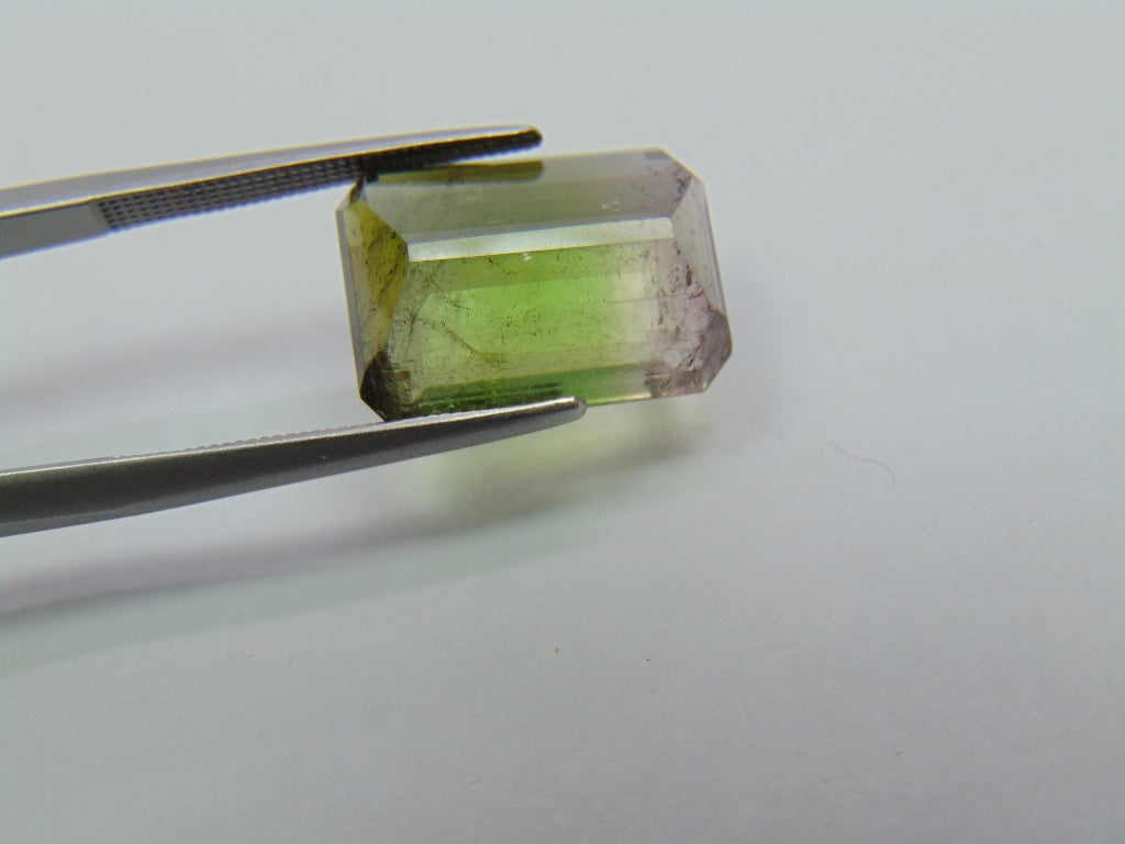 Turmalina Bicolor 10,65ct 15x11mm