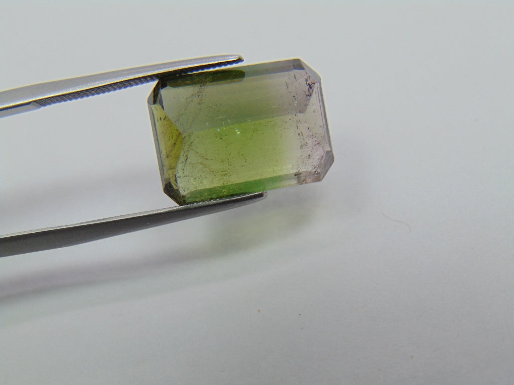 Turmalina Bicolor 10,65ct 15x11mm