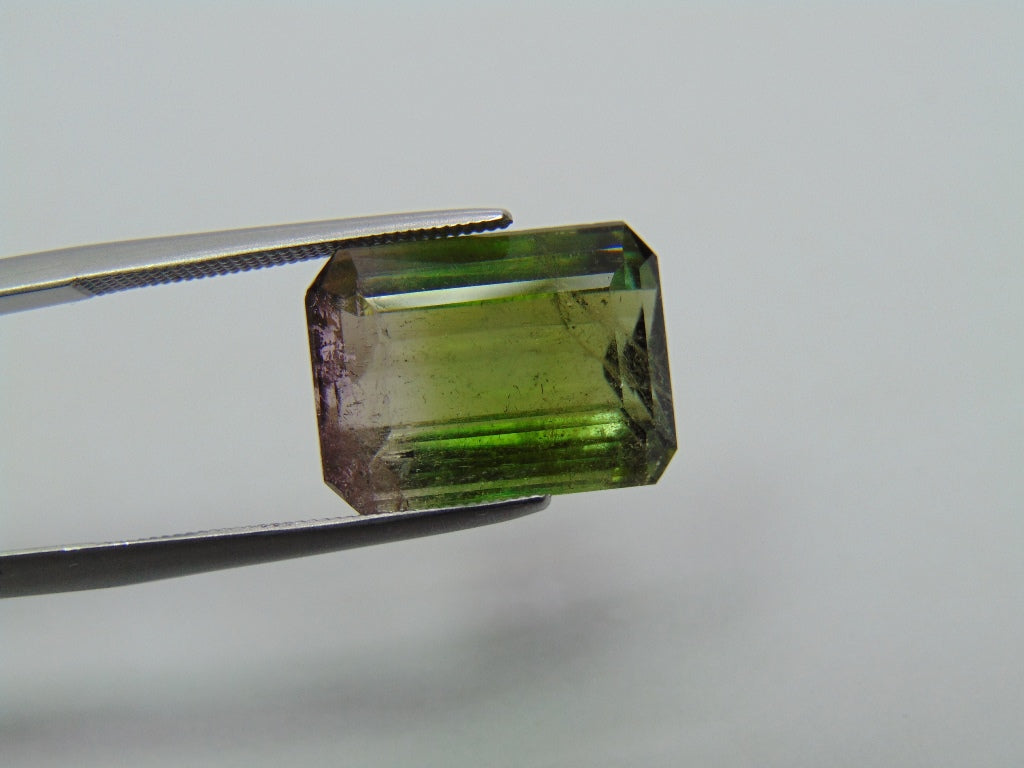 Turmalina Bicolor 10,65ct 15x11mm