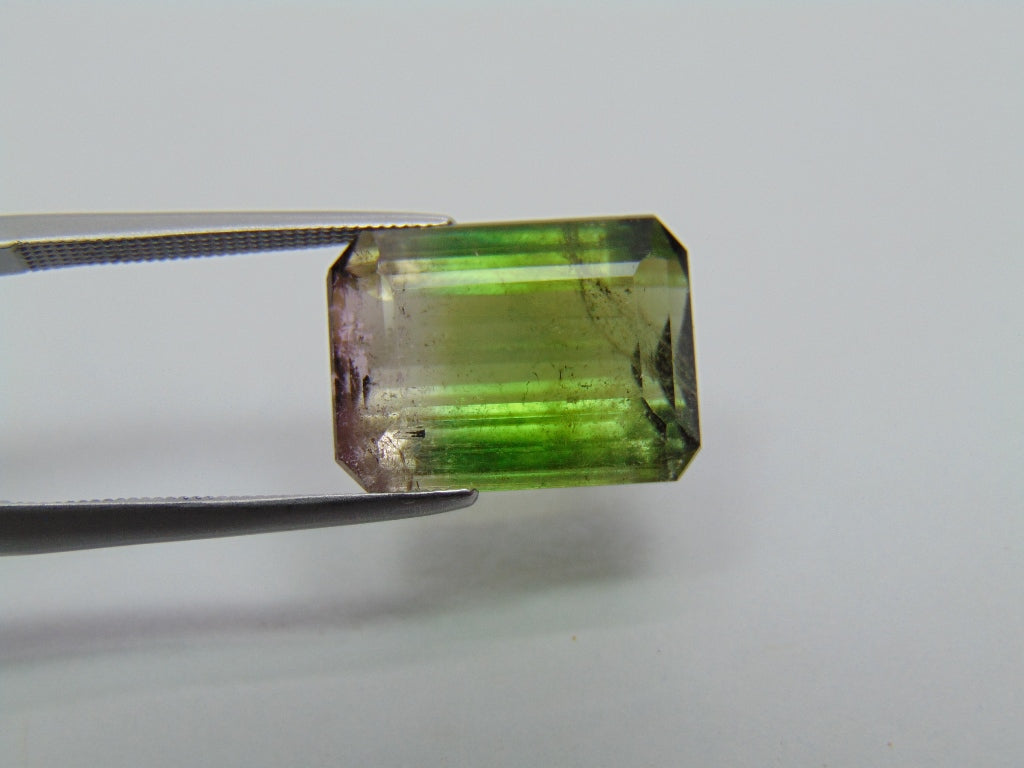 Turmalina Bicolor 10,65ct 15x11mm