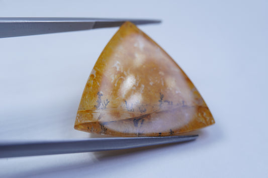 22.30ct Dendrita 28x29mm