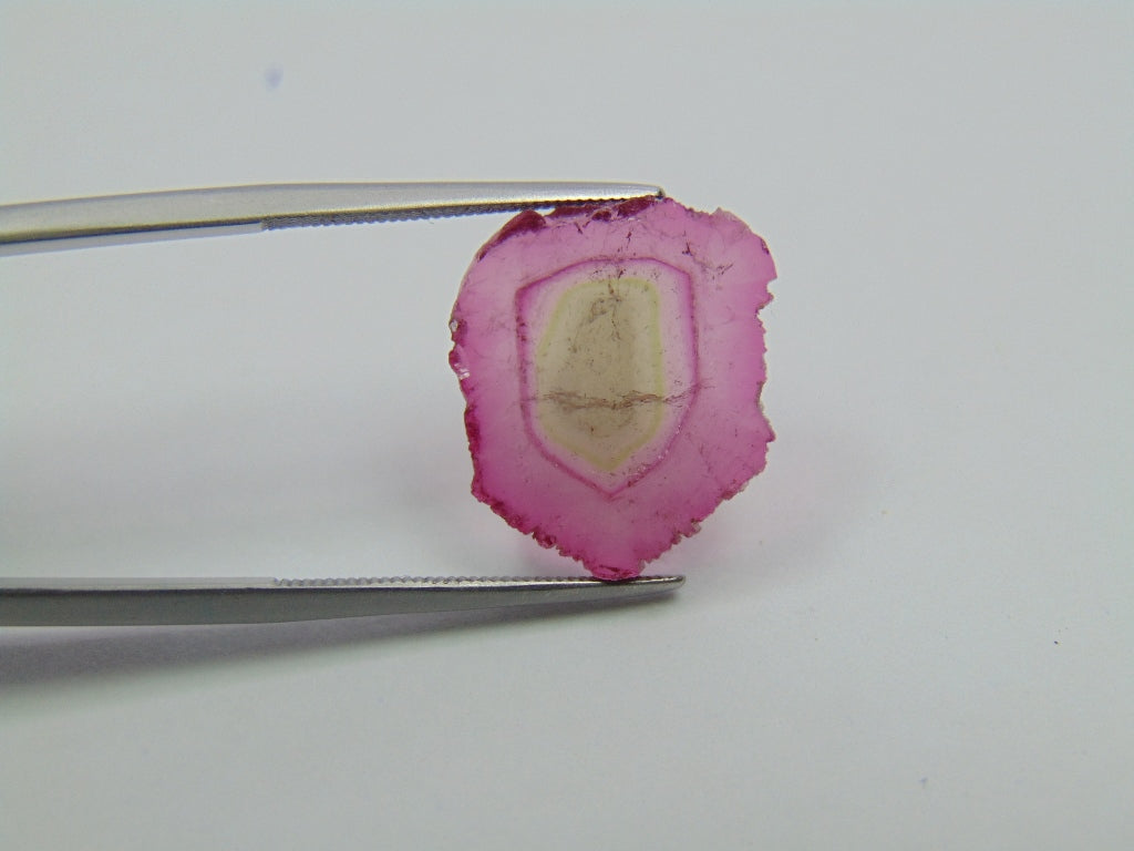 8.50ct Watermelon Tourmaline 17x15mm