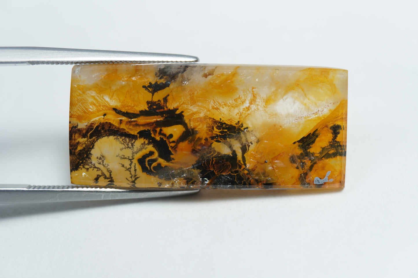 22.60ct Dendrita 30x14mm