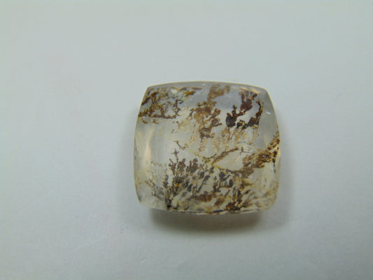 19.20ct Dendrita 19mm