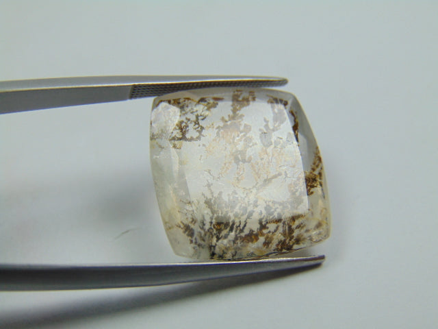 19.20ct Dendrite 19mm