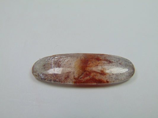 36.90ct Dendrita 46x16mm