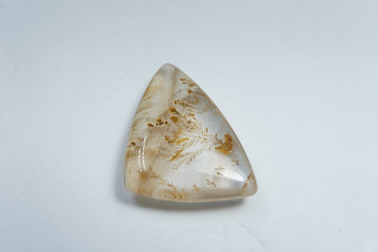 16.85ct Dendrita 23x19mm