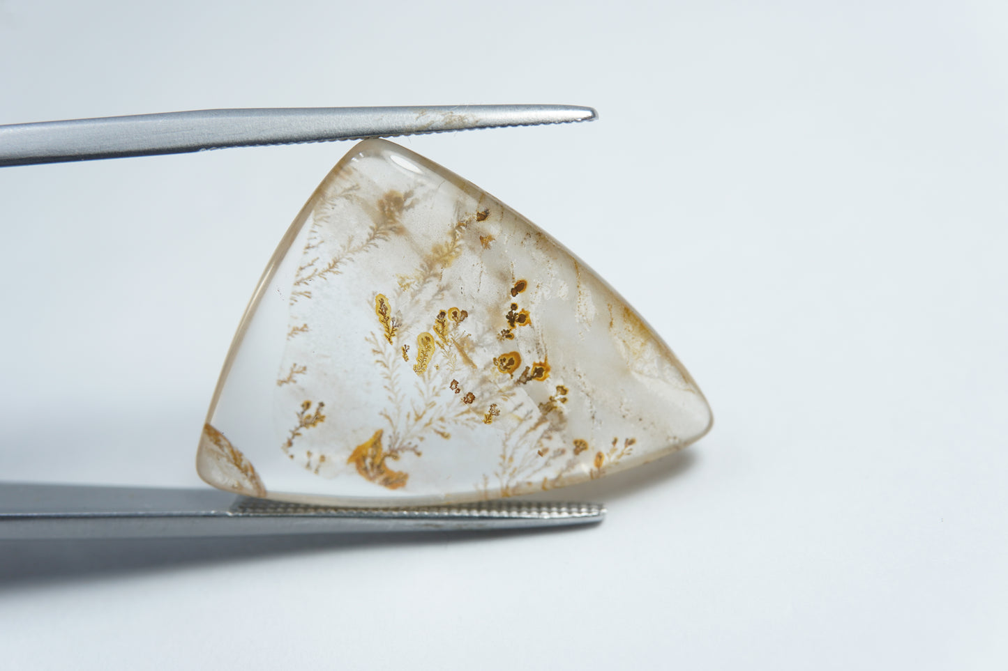 16.85ct Dendrite 23x19mm