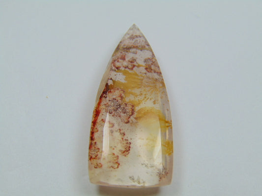 61.80ct Dendrita 48x18mm