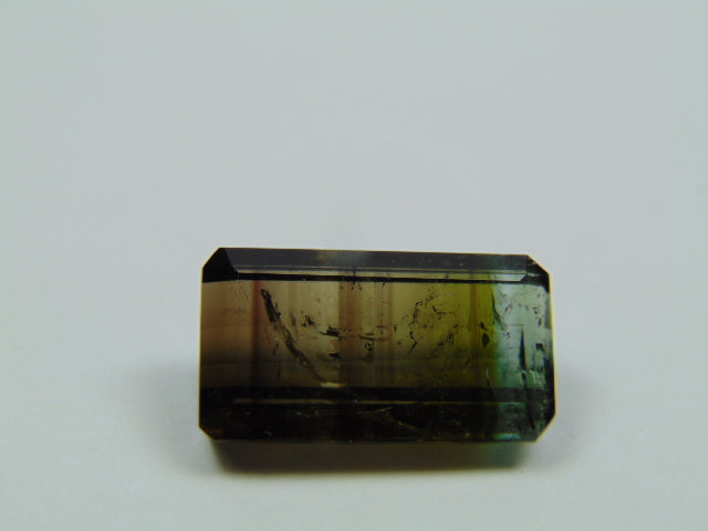 15.10ct Tourmaline Bicolor 20x11mm