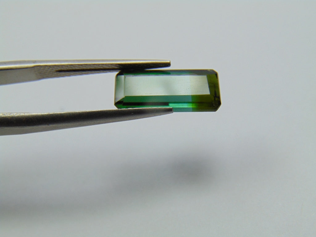 3.40ct Turmalina Bicolor 13x6mm