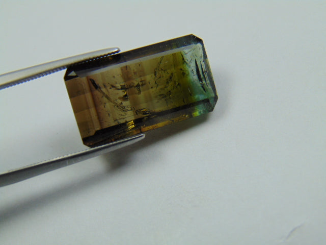 15.10ct Tourmaline Bicolor 20x11mm