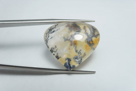 31.15ct Dendrita 24x21mm