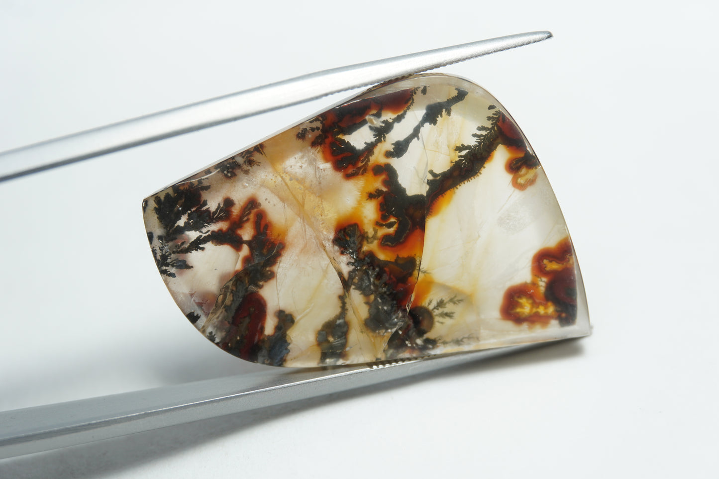 30.70ct Dendrite 34x23mm