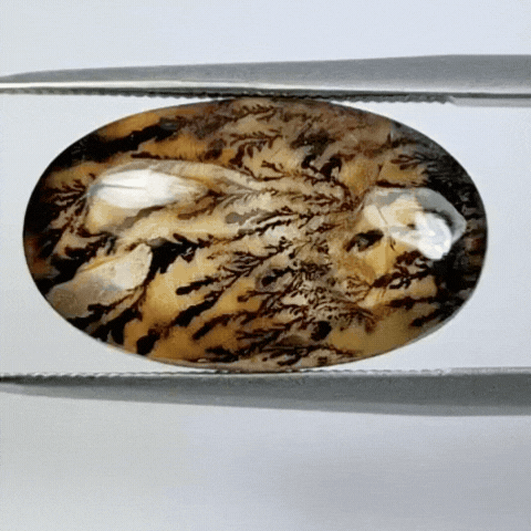 7.60ct Dendrite 18x11mm