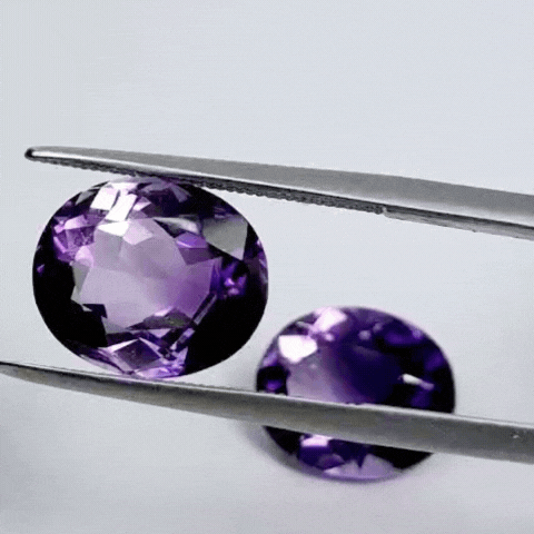 9.30ct Amethyst Bicolor Pair 12x10mm