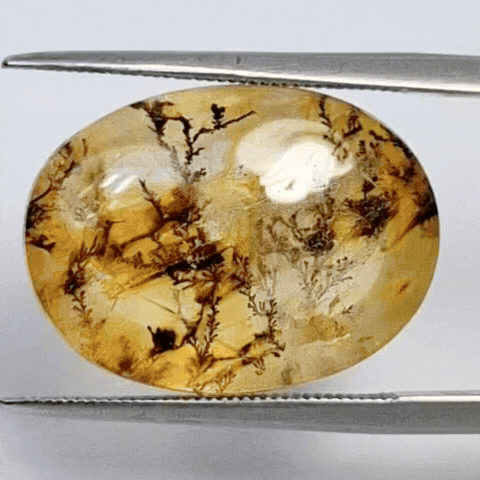 12.24ct Dendrita 19x14mm