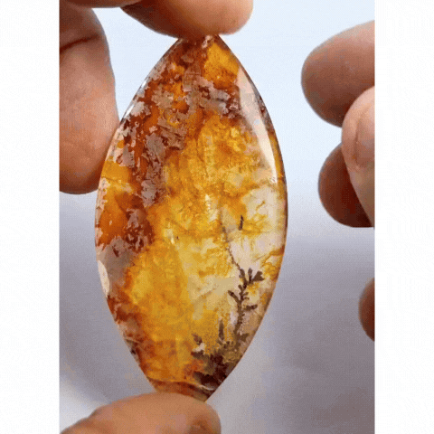 108.50ct Dendrita 67x31mm