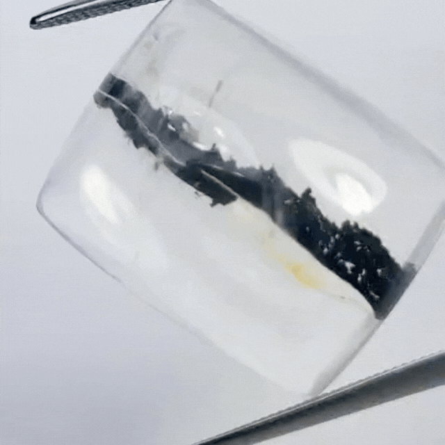 21.75ct Quartzo com Inclusão 20x16mm