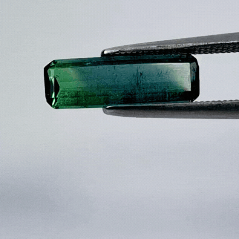 3.20ct Turmalina Bicolor 14x4.5mm 14x4mm