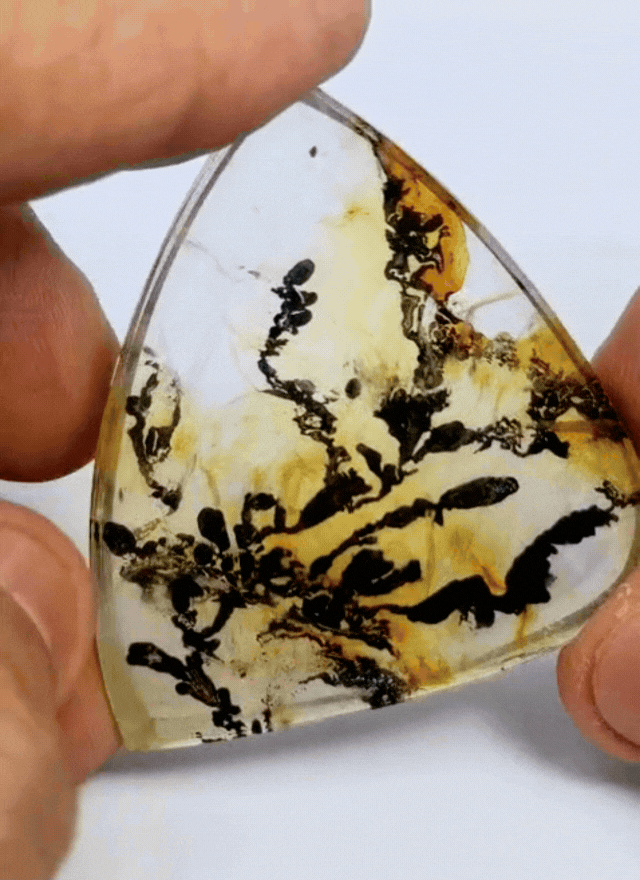 152ct Dendrita 52x41mm
