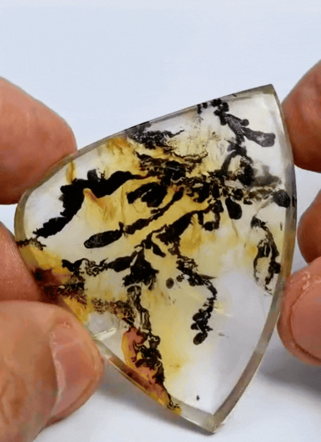 152ct Dendrita 52x41mm