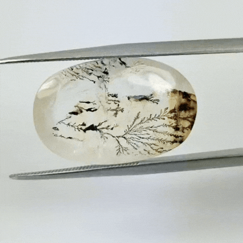 15ct Dendrite 22x15mm