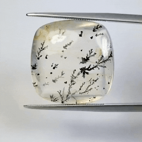 19.40ct Dendrite 19mm