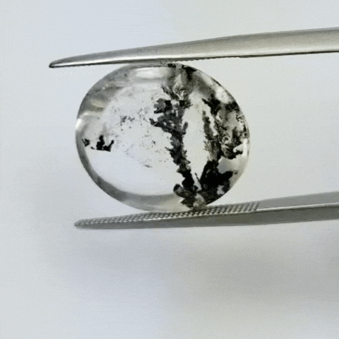 9.70ct Dendrita 17x15mm