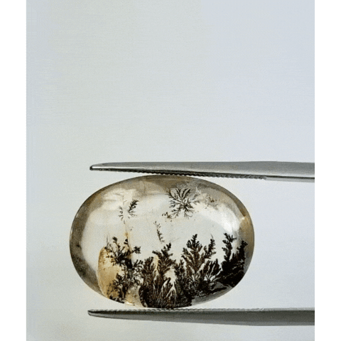 19.30ct Dendrita 20x13mm 20x14mm