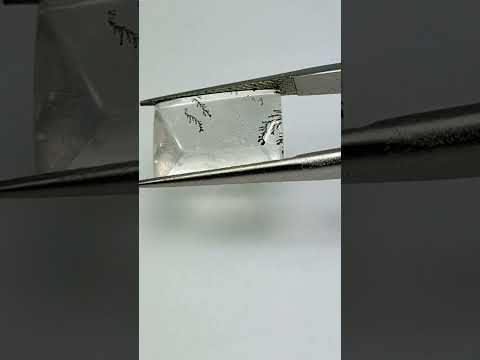 8.11ct Dendrita 14x10mm