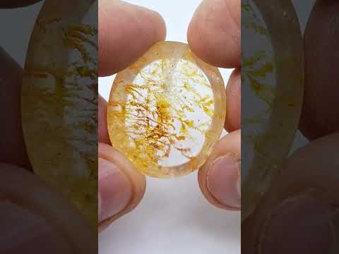 53.95ct Dendrita 30x27mm