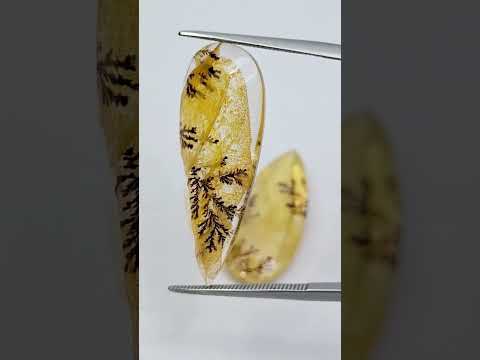 36.50ct Dendrita